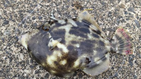 小物ばかりです