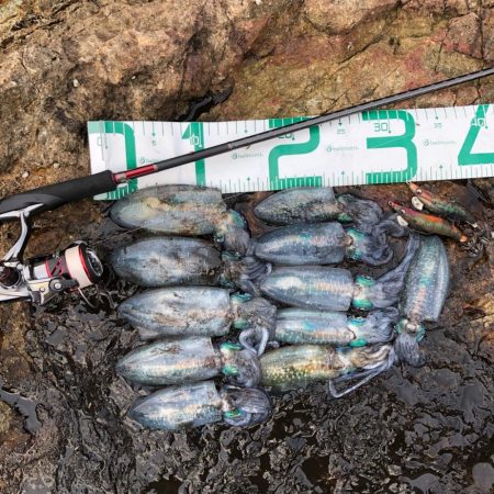 2021佐渡ヶ島 エギング 8回目