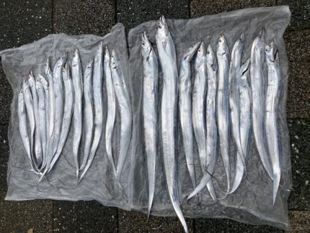 タチウオテンヤ