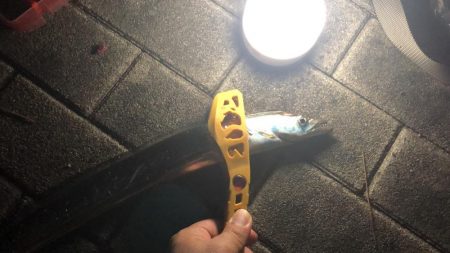 連日の南港太刀魚！