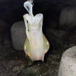 台風の影響は？