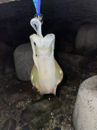 台風の影響は？