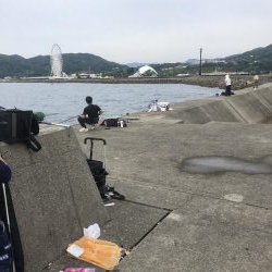 太刀魚遠征3回目