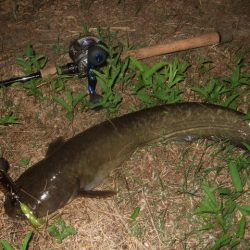 なかなか乗せきれず