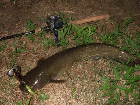 なかなか乗せきれず