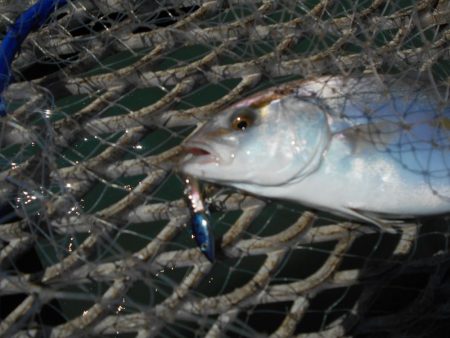 水潮で不利か？