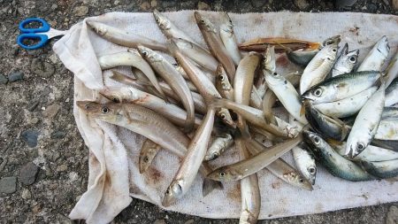 日ムラの激しい播磨新島のキス