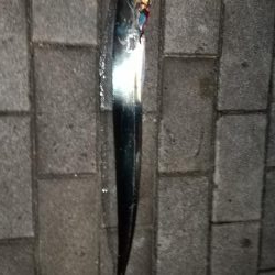 太刀魚リベンジ