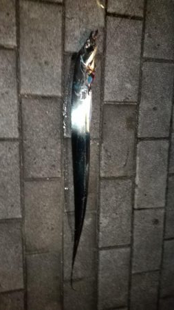 太刀魚リベンジ