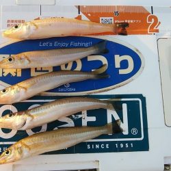 活性が上がらない播磨新島のキス