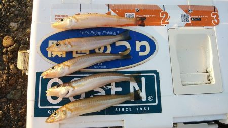 活性が上がらない播磨新島のキス