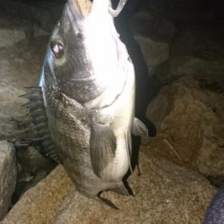 久しぶりの釣り