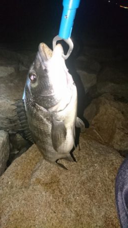 久しぶりの釣り