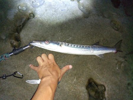 地磯プラッキング