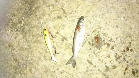 チャートだけで勝負