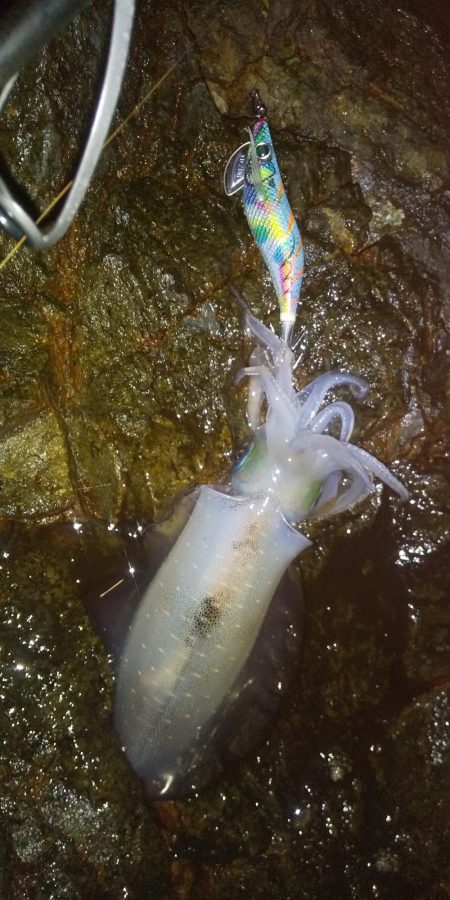 腕が悪いのか？