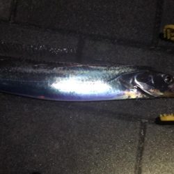 南港ショアタチスタート!