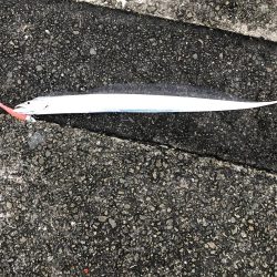 雨上がりは渋い。