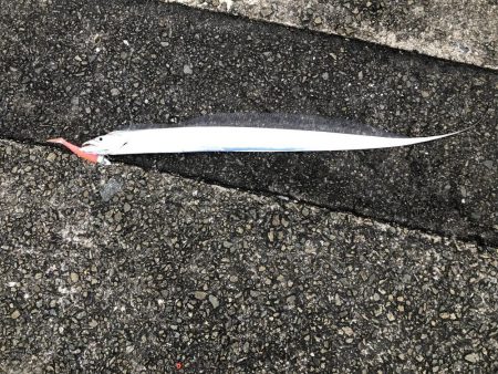 雨上がりは渋い。