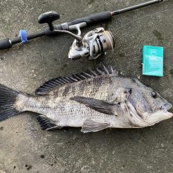 久しぶりの釣行