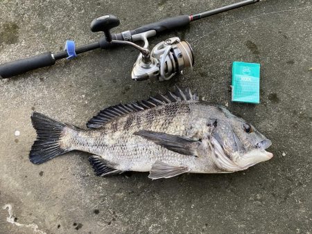 久しぶりの釣行