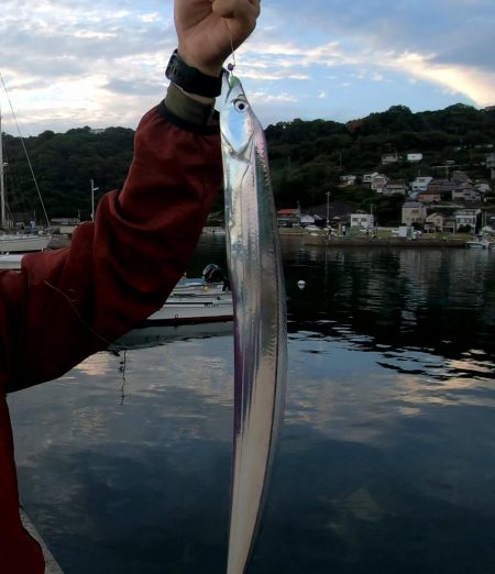 塩津漁港での釣行！