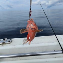 ボート釣りとはいえ渋かった・・・