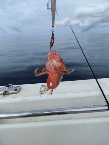 ボート釣りとはいえ渋かった・・・