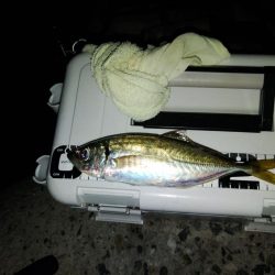 フロートゲーム～