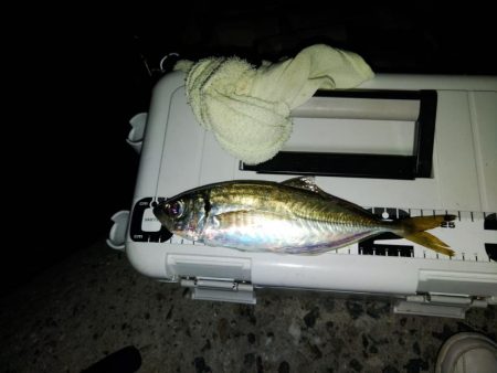 フロートゲーム～