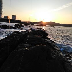 フカセ‥最高ですネ・・モーニングサービス・・