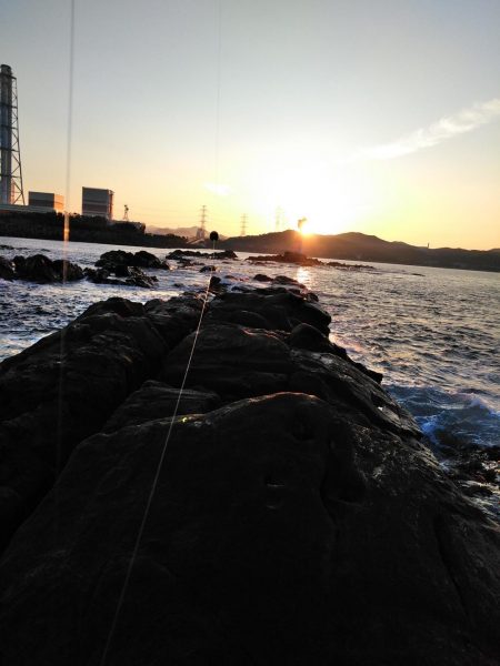 フカセ‥最高ですネ・・モーニングサービス・・