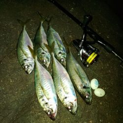 フロートゲーム～