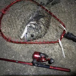 2021/09/22 南港アジング