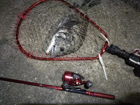 2021/09/22 南港アジング