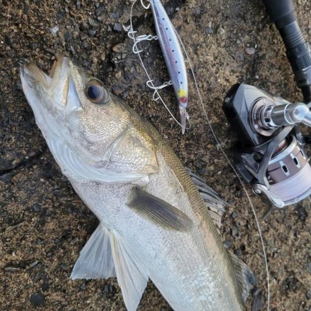 久しぶりのショアジギング