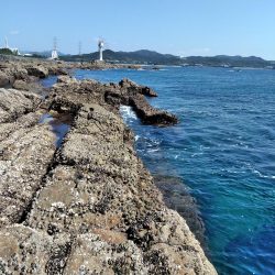 フカセ‥最高ですネ・・