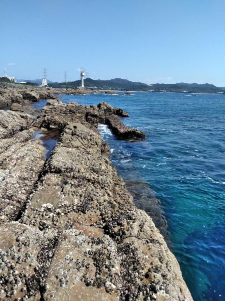 フカセ‥最高ですネ・・