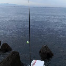 潮攻略！！？？