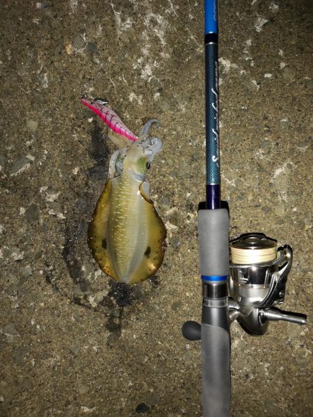 育ってきました。