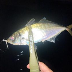 軽量ジグヘッドの着底の取り方