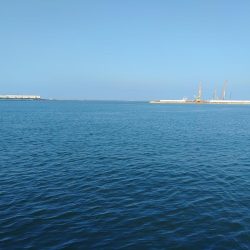 自己記録更新です!!