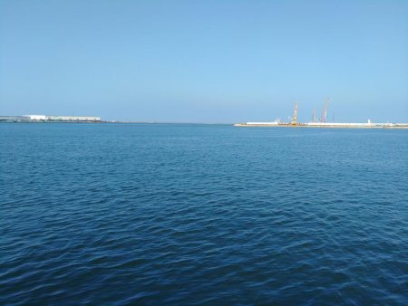 自己記録更新です!!