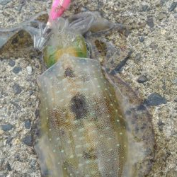 台風真っ只中まさかの?