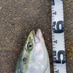 リベンジ成功！