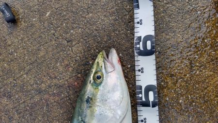 リベンジ成功！