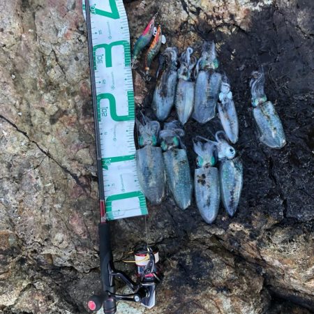 2021佐渡ヶ島 エギング 3回目