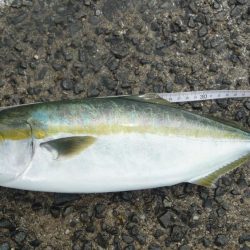 遠征前の釣果