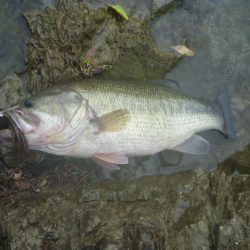 雨の降り初めに