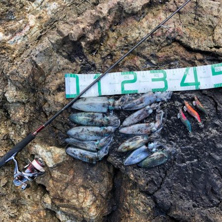 2021佐渡ヶ島 エギング 6回目